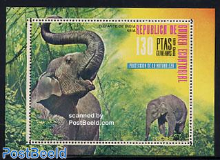 Asian elephant s/s