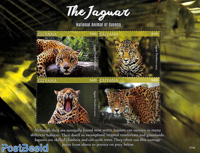 The Jaguar 4v m/s