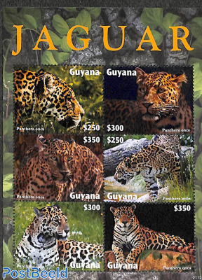 Jaguar 6v m/s