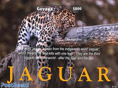 Jaguar s/s