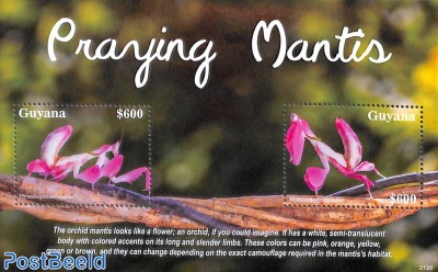 Praying Mantis s/s