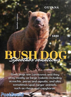 Bush dog s/s
