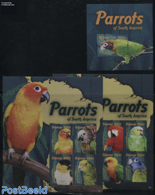 Parrots 3 s/s