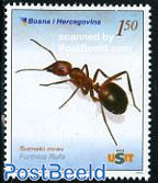 Fauna, wood ant 1v