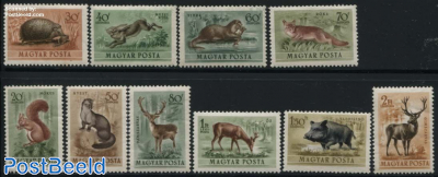 Forest animals 10v