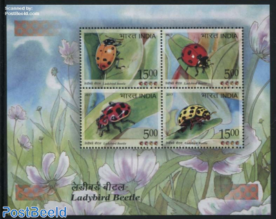 Ladybird Beetle s/s