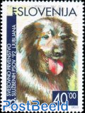 Dogs, Slovenian Shepherd dog 1v