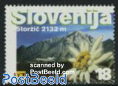 Mountains, Storzic, Edelweiss 1v