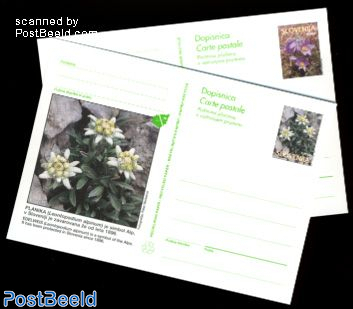 Postcard set mountain flowers (2 cards)