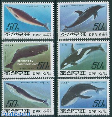 Whales & dolphins 6v