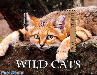 Wild Cats s/s