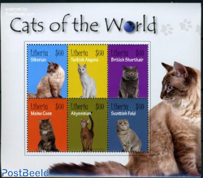 Cats of the world 6v m/s