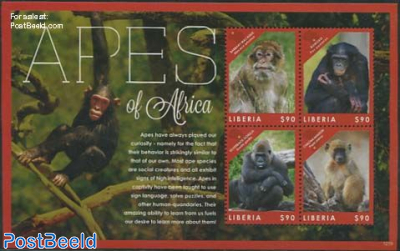 Apes of Africa 4v m/s
