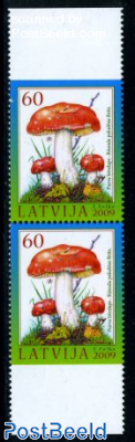 Mushrooms booklet pair