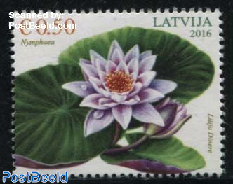 Water Lily 1v