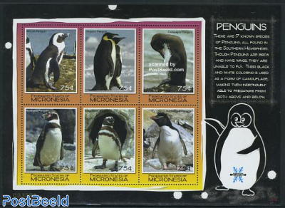 Penguins 6v m/s