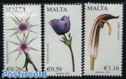 Maltese Flora 3v