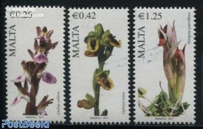 Maltese Flora 3v