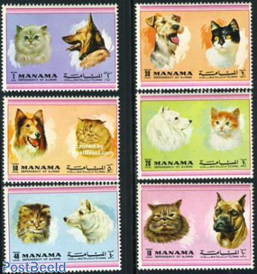 Cats & Dogs 6v