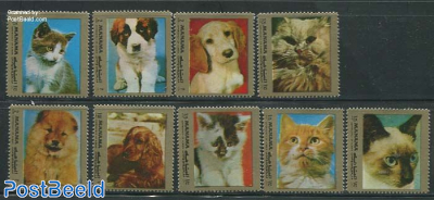 Cats & Dogs 9v