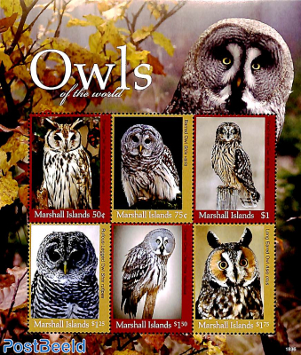 Owls 6v m/s