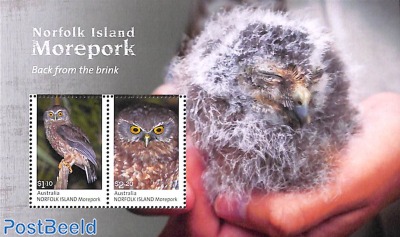 Morepork owl s/s