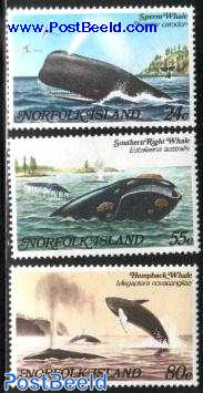 Whales 3v