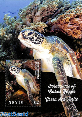 Green Sea Turtle s/s