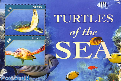 Sea Turtles 2v m/s