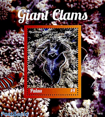 Giant Clam s/s