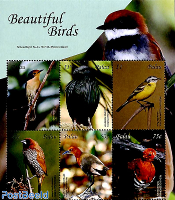 Beautiful birds 6v m/s
