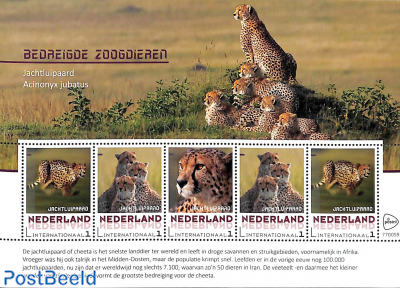 Endangered mammals 5v m/s