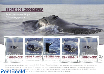 Endangered mammals 5v m/s