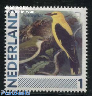 Birds, Wielewaal 1v (Oriolus oriolus)