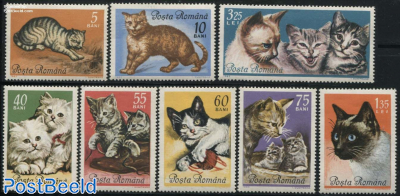 Cats 8v