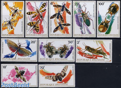 Insects 10v