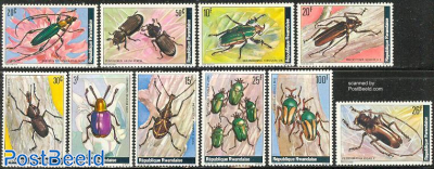 Beetles 10v