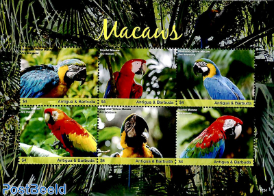 Macaws 6v m/s