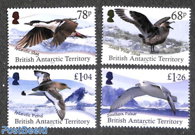 Antarctic birds 4v