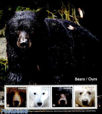Bears 4v m/s
