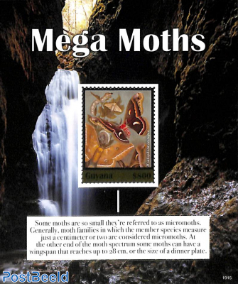 Mega moths s/s