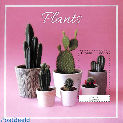 Plants s/s