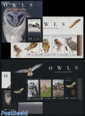 Owls 4 s/s