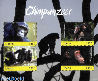 Chimpanzees 4v m/s