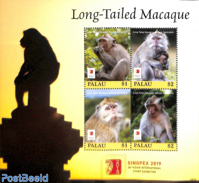 Long-Tailed Macaque 4v m/s