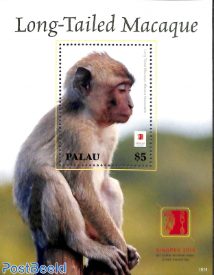 Long-Tailed Macaque s/s