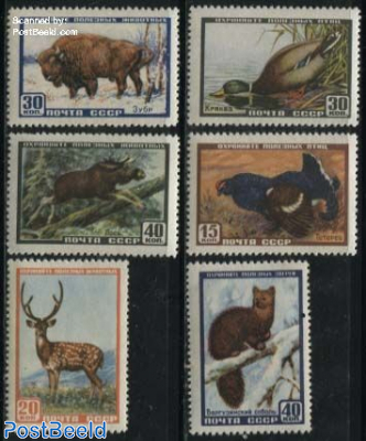 Animals 6v