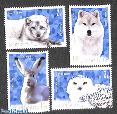 Arctic animals 4v