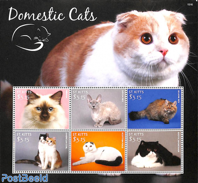 Domestic Cats 6v m/s