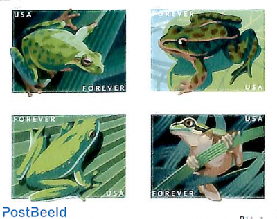 Frogs 4v, double sided (=8v)